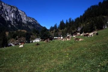 Località Grovella (Ft. Giovanni Della Ferrera)