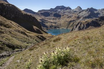 foto Luigi Framarini