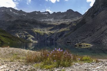 foto Luigi Framarini